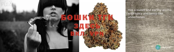 ГАЛЛЮЦИНОГЕННЫЕ ГРИБЫ Покров