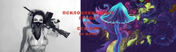 наркотики Алексин