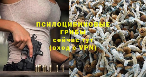 метадон Алексеевка