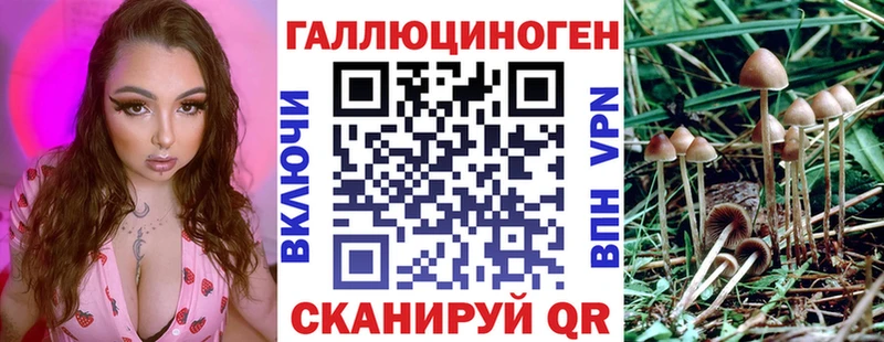 Галлюциногенные грибы мицелий  закладка  Николаевск 